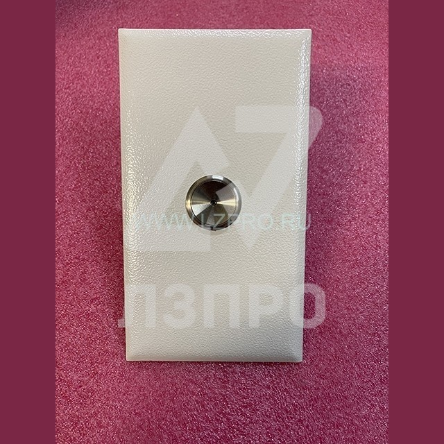 Вызывной пост с антивандальным кнопочным модулем КЛ-039-039